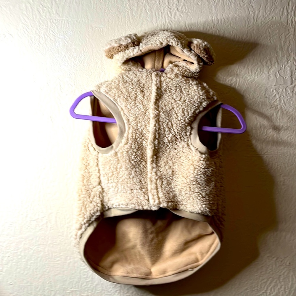Top Paw dog coat with teddy bear hood